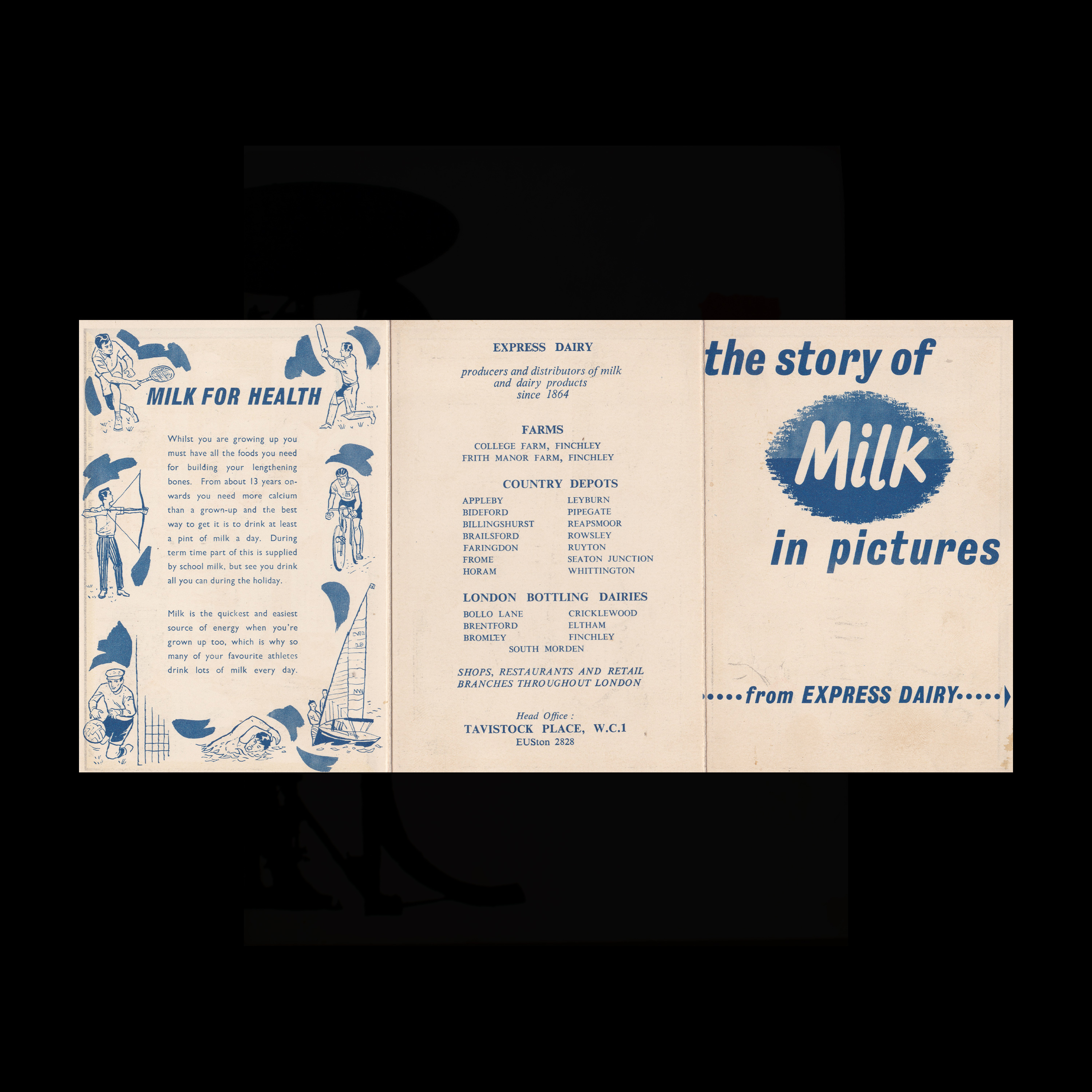 The Story of Milk in Pictures