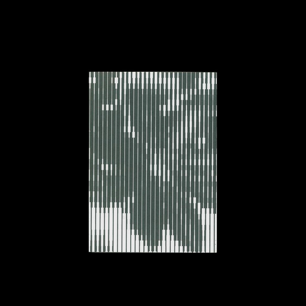 Karel Martens – Full Color, 2013