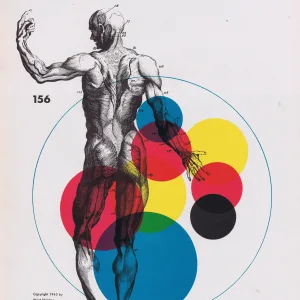 Mid Century Modernism